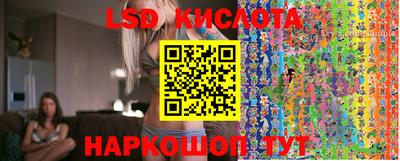 стаф Бузулук