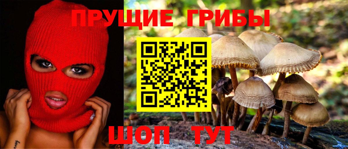 Углич  Галлюциногенные грибы Cubensis  где продают   Вход с VPN  Галлюциногенные грибы Magic Shrooms 